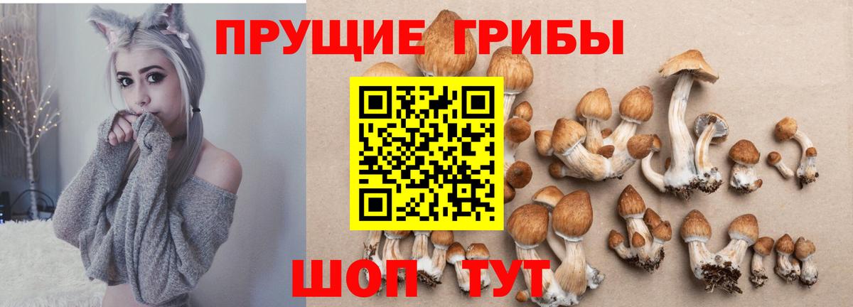 Новодвинск  Галлюциногенные грибы мицелий  Вход с VPN 